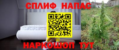 гидра Можга